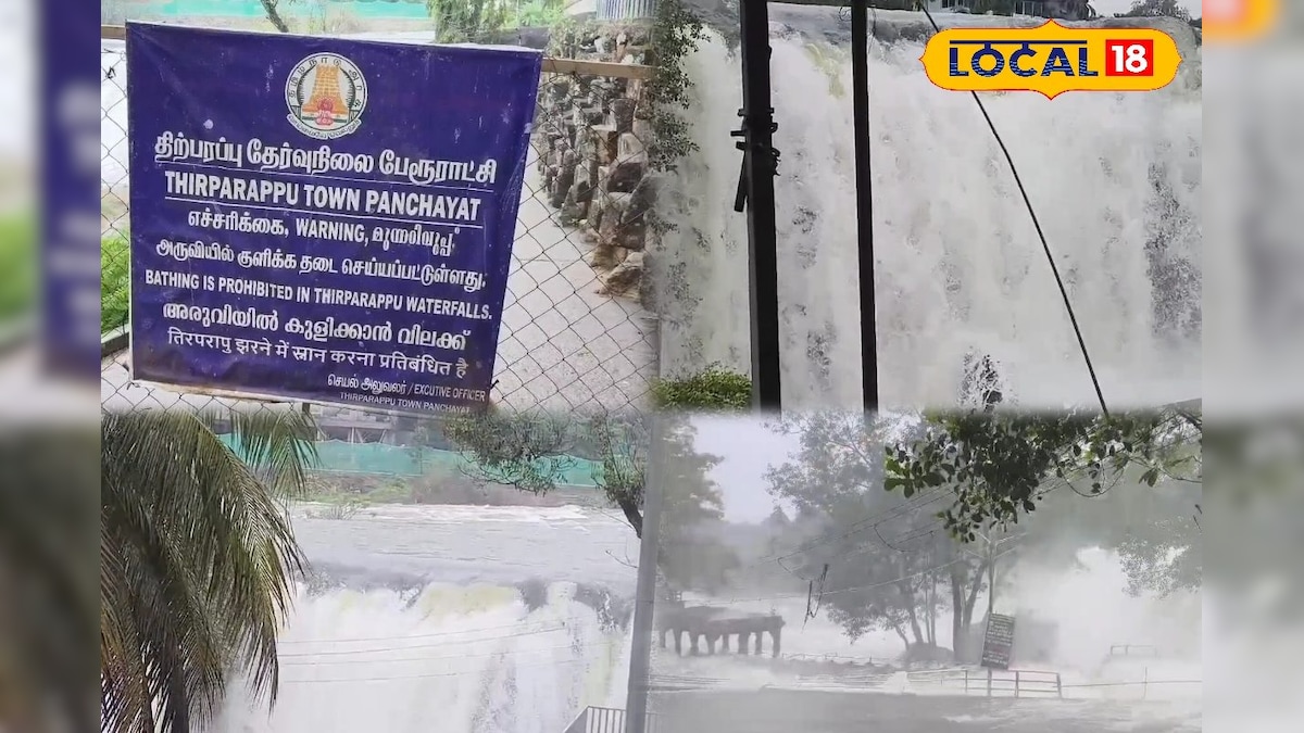 குமரியின் குற்றாலத்தில் தொடரும் தடை... திற்பரப்பு அருவிக்கு வந்து பயணிகள் ஏமாற்றம்... | கன்னியாகுமரி - News18 தமிழ்