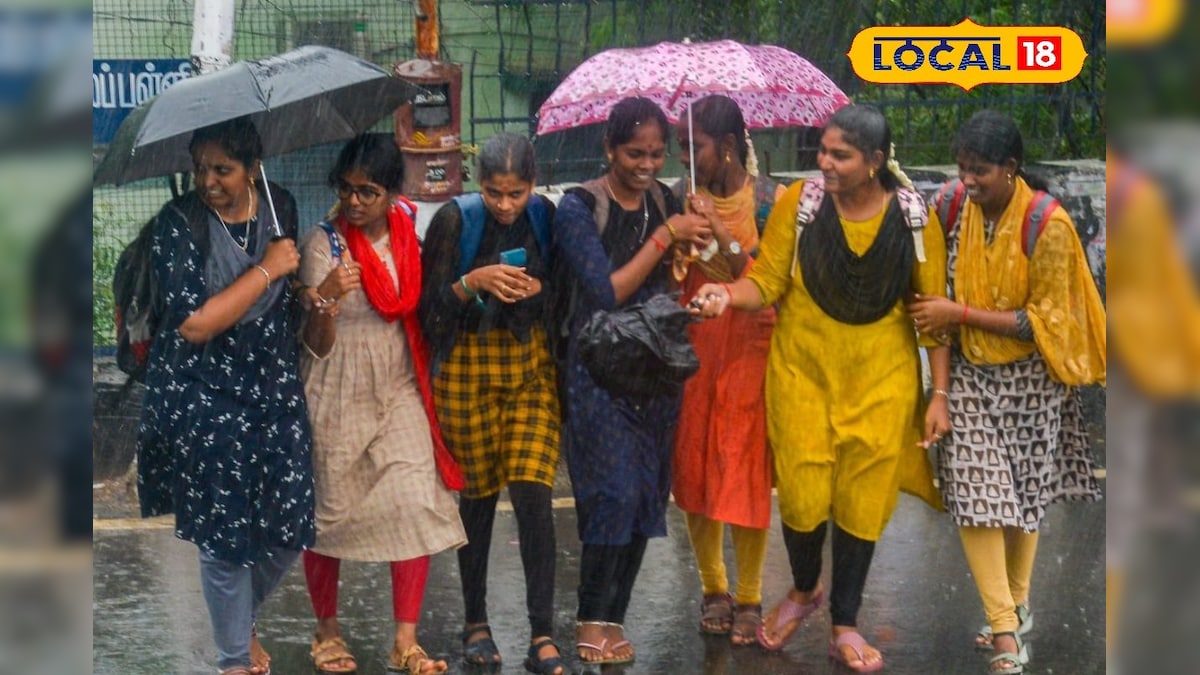 Red Alert Leave: அதி கனமழை - புதுக்கோட்டை பள்ளி,  கல்லூரிகளுக்கு விடுமுறை... | கல்வி - News18 தமிழ்