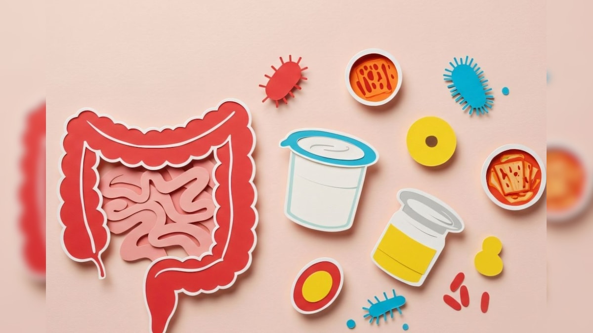 குடல் ஆரோக்கியத்துக்காக சப்ளிமண்ட்ஸ் உட்கொள்கின்றீர்களா? உங்களுக்கான எளிய மாற்று இதோ...! | லைஃப்ஸ்டைல் - News18 தமிழ்