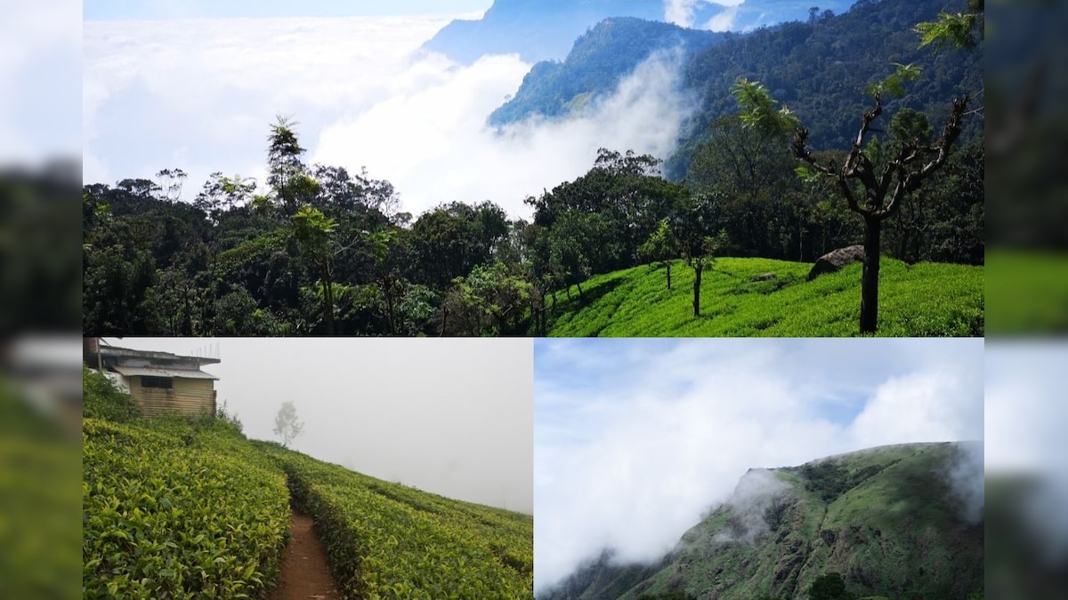 IRCTC Ooty Tour | வெறும் ரூ.13,000 போதும்.. ஊட்டிக்கு செல்லலாம்.. IRCTC-ன் அசத்தல் டூர் பேக்கேஜ்! | வணிகம் - News18 தமிழ்