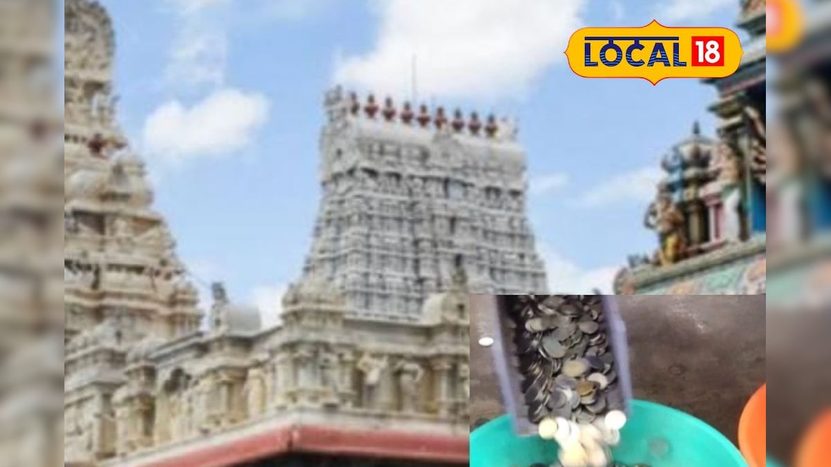 திருச்செந்தூர் முருகன் கோவில் உண்டியல் வசூல்... 4.26 கோடி காணிக்கை செலுத்திய பக்தர்கள்... | ஆன்மிகம் - News18 தமிழ்