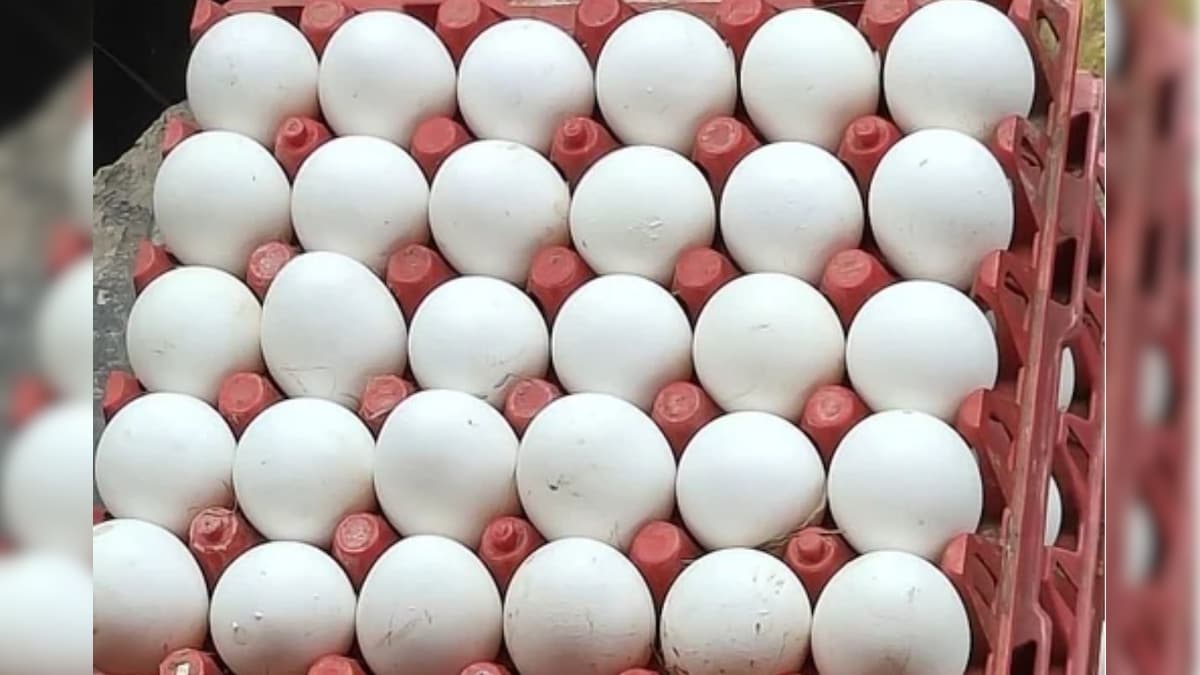 Egg Rate | முட்டை விலை இதுவரை இல்லாத அளவு வரலாறு காணாத உயர்வு | தமிழ்நாடு - News18 தமிழ்
