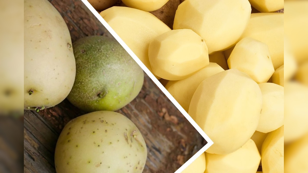 நிறம் மாறிய உருளைக்கிழங்கு!! சப்பிடலாமா.? கூடாதா.? | உணவு - News18 தமிழ்