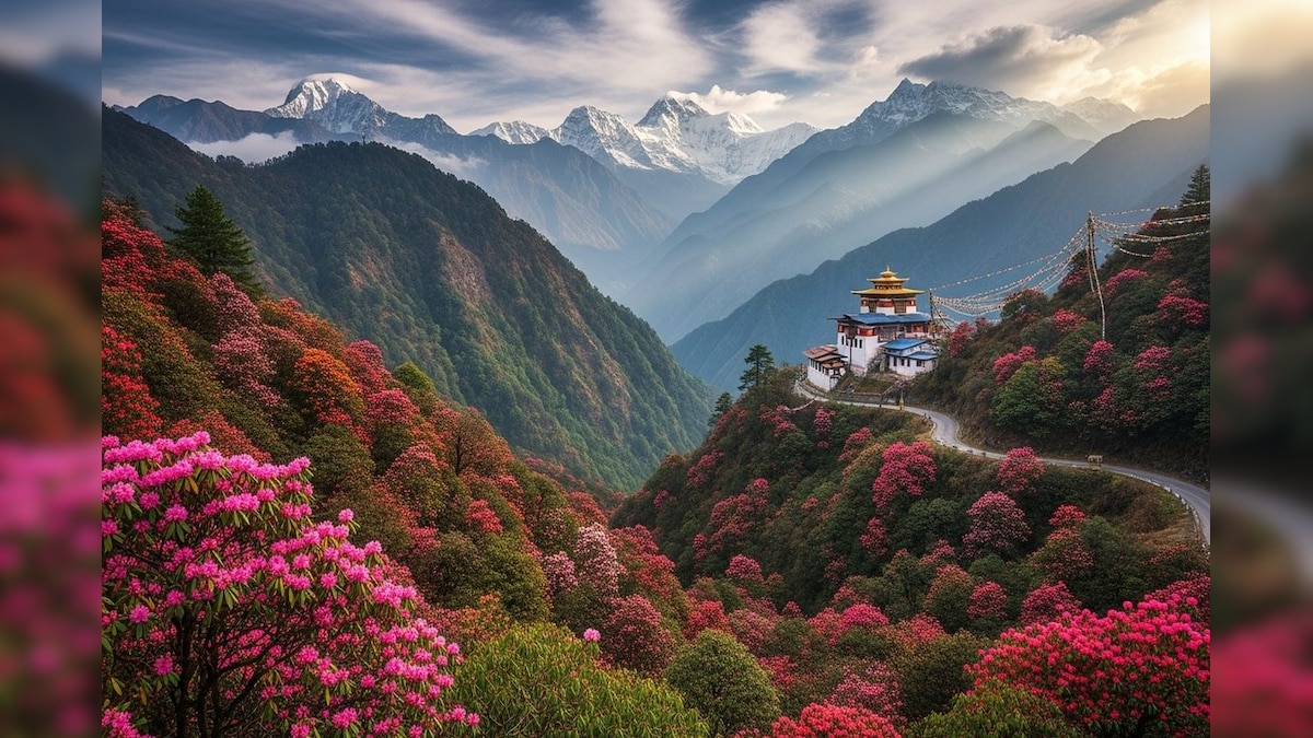 வருமான வரியிலிருந்து விலக்களிக்கும் இந்தியாவின் ஒரே மாநிலம்...! பலருக்கு தெரியாது... | ட்ரெண்டிங் - News18 தமிழ்