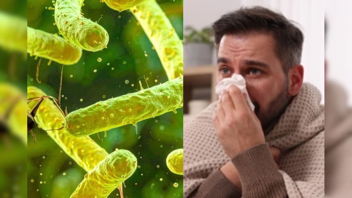 இந்தியாவில் Superbug ஆபத்து: 83% நோயாளிகள் ஆன்டிபயாடிக் எதிர்ப்பு பாக்டீரியாக்களைக் கொண்டுள்ளனர் - எச்சரிக்கும் ஆய்வு!  | லைஃப்ஸ்டைல் - News18 தமிழ்