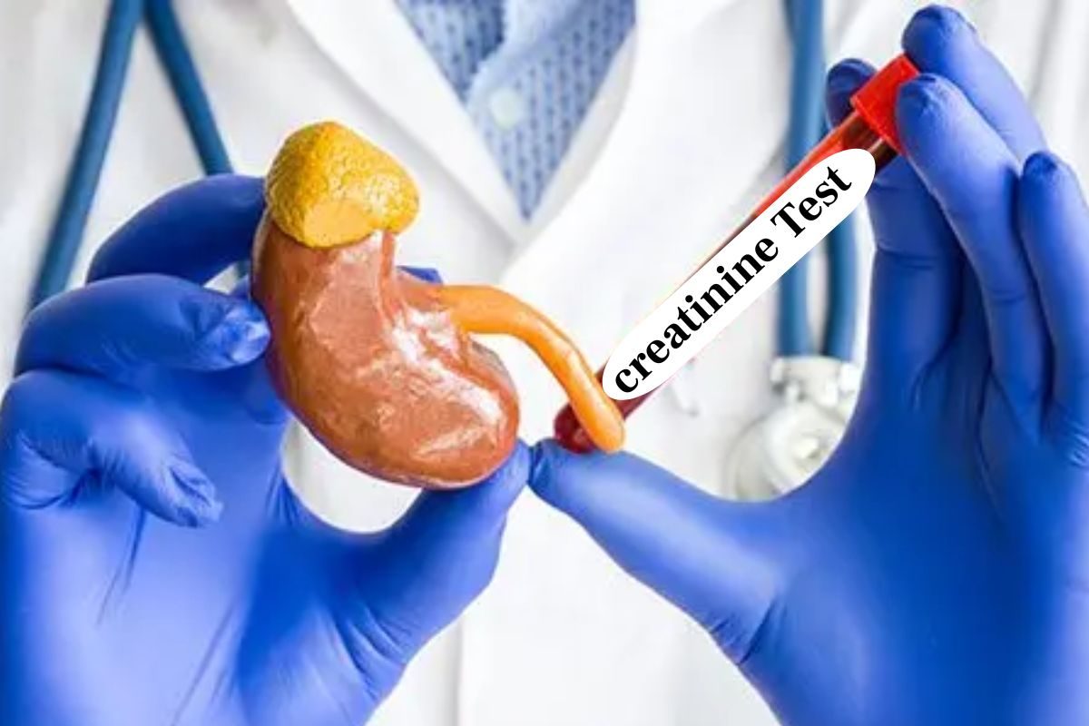 கிரியேட்டினின் அளவு அதிகரித்தால் சிறுநீரகத்திற்கு இவ்வளவு ஆபத்தா..?