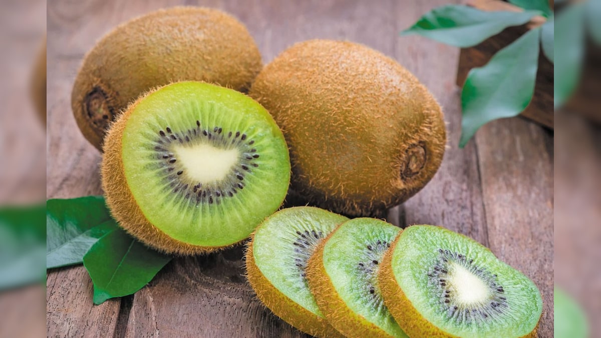 ஒரு நாளைக்கு இரண்டு கிவி பழங்கள் போதும்.. மலச்சிக்கல் தொல்லையே இருக்காது - நிபுணர் பரிந்துரை!  | லைஃப்ஸ்டைல் - News18 தமிழ்