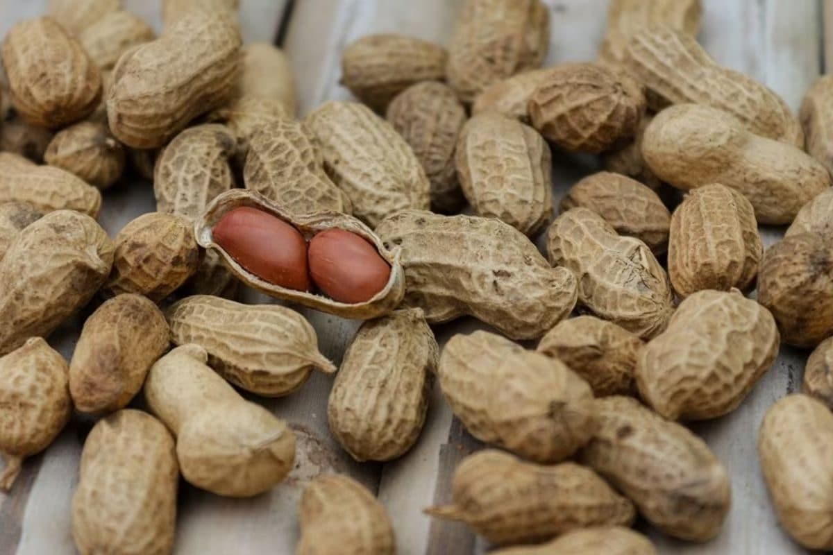 குளிர்காலத்தில் மாலையில் வேர்க்கடலை சாப்பிடலாமா..?