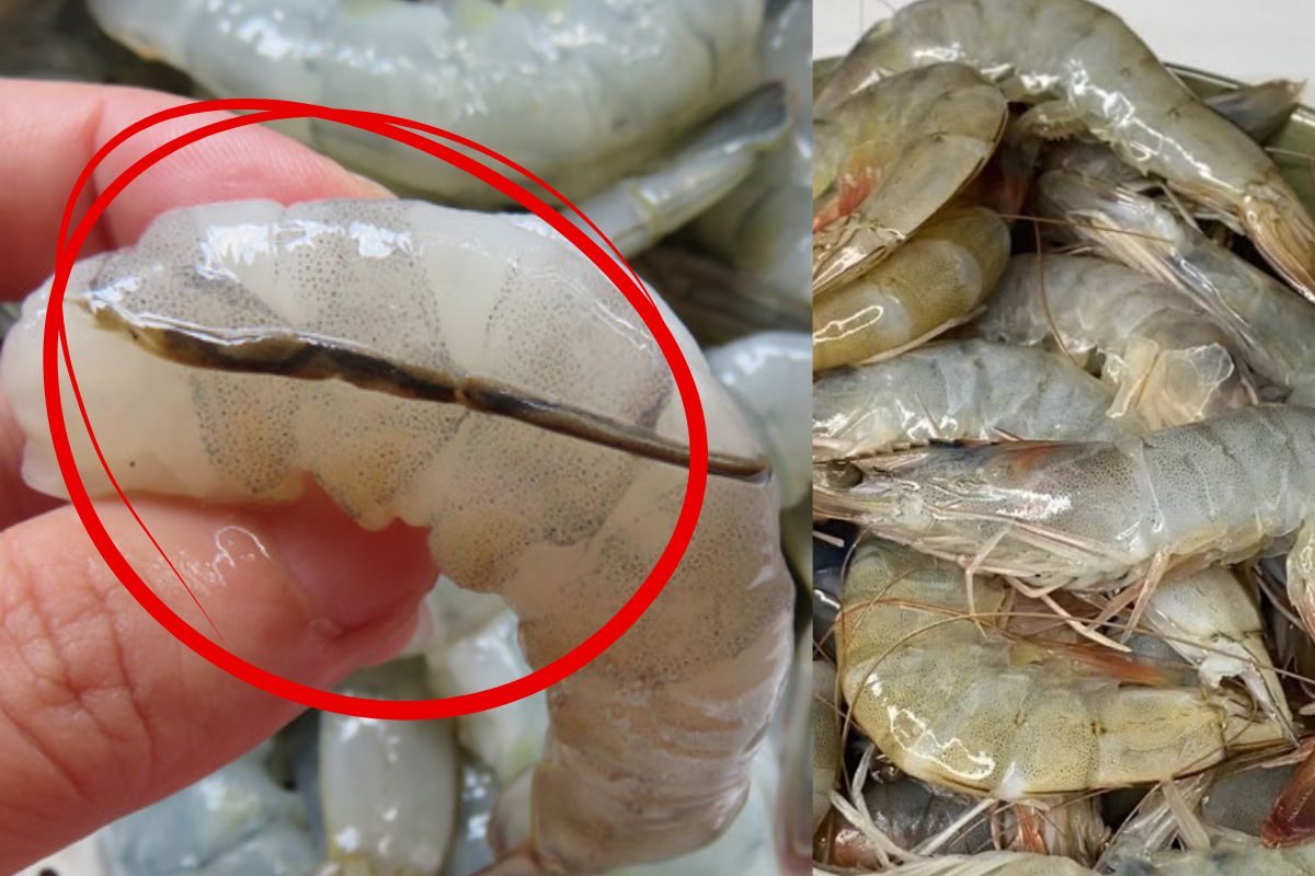 இறாலில் இந்த கருப்பு நரம்பை நீக்காமல் சமைக்கிறீங்களா..? ஆபத்து