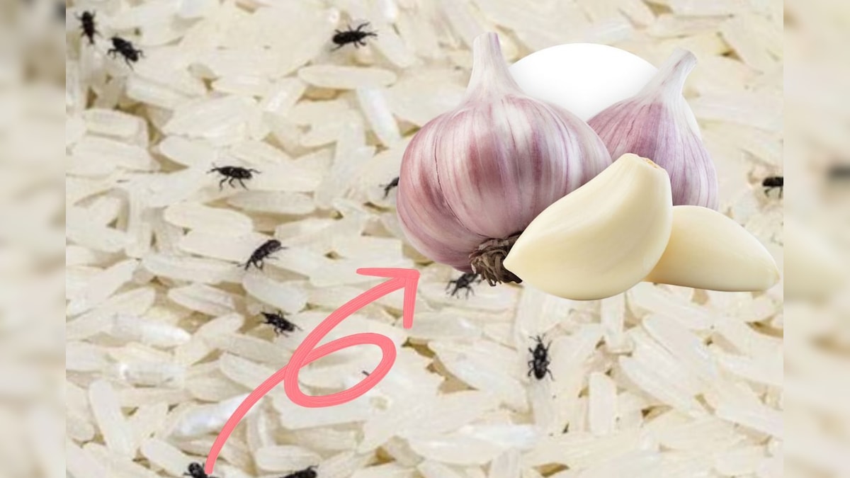 ஐந்தே ஐந்து பூண்டு போதும்.. அரிசியின் வண்டு, புழு வர பிரச்சனையே இருக்காது..! | லைஃப்ஸ்டைல் - News18 தமிழ்