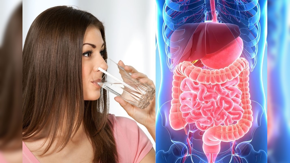 ஒருநாளில் எவ்வளவு தண்ணீர் குடிப்பது சரி? கல்லீரலை பாதுகாக்க இதை கட்டாயம் தெரிஞ்சுக்கோங்க! | லைஃப்ஸ்டைல் - News18 தமிழ்