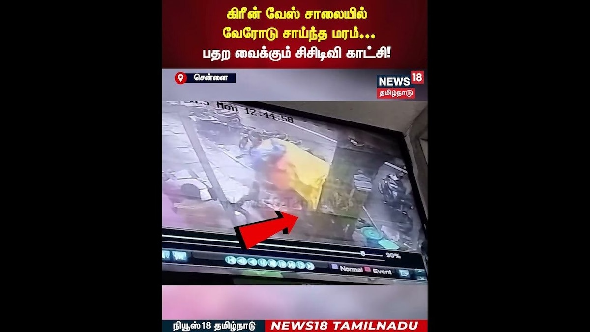 Tree Falling | கிரீன் வேஸ் சாலையில் வேரோடு சாய்ந்த மரம்... பதற வைக்கும் சிசிடிவி காட்சி! | N18S