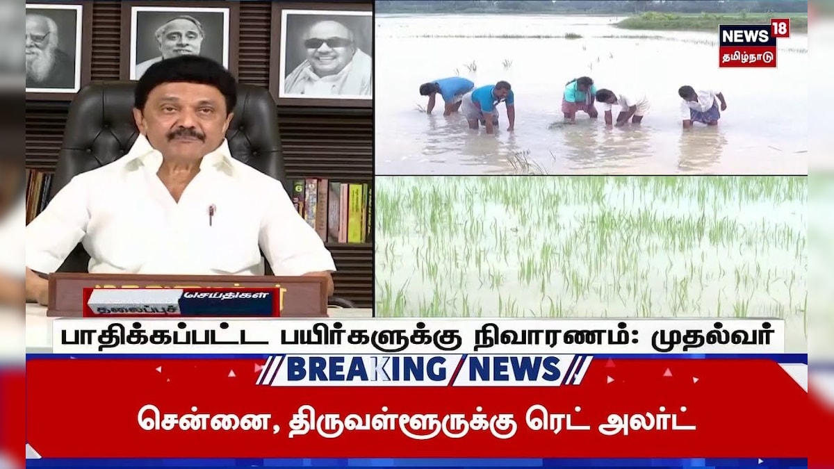 CM MK Stalin | பாதிக்கப்பட்ட பயிர்களுக்கு நிவாரணம் - முதலமைச்சர் மு.க.ஸ்டாலின் அறிவிப்பு