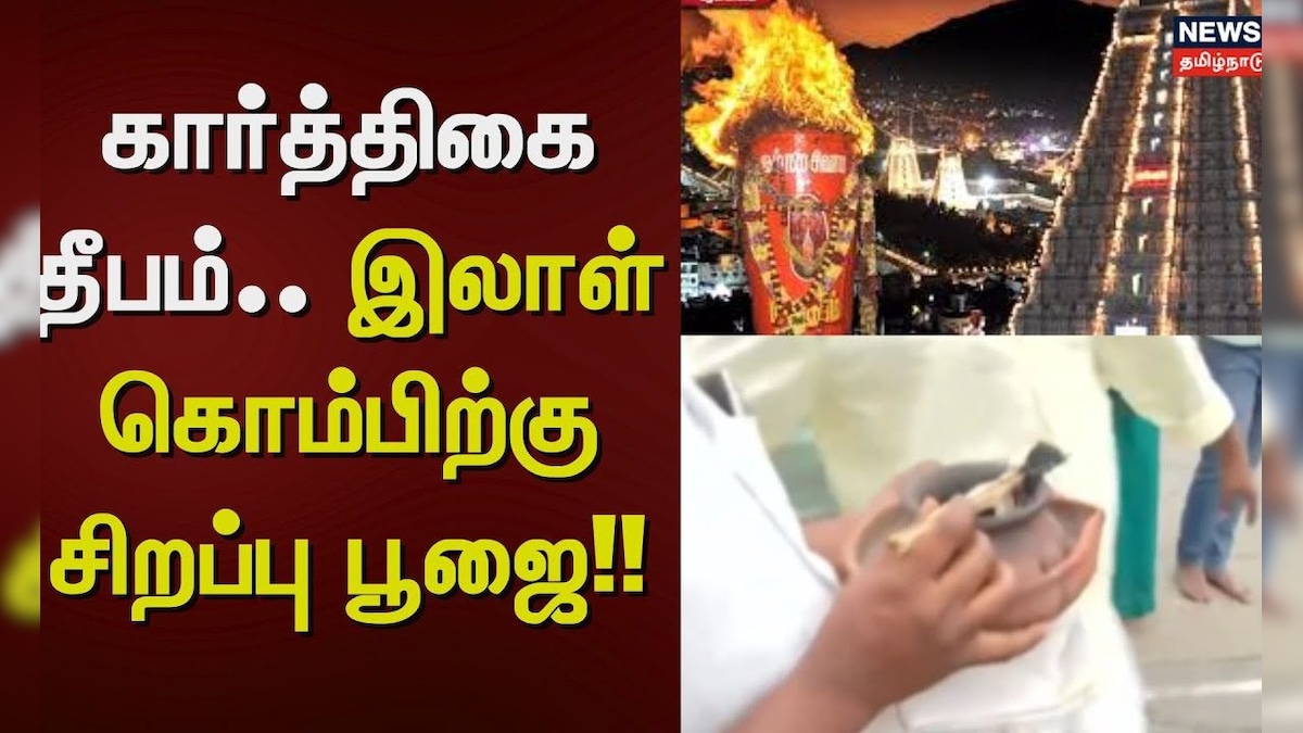 Tiruvannamalai Karthigai Deepam 2025 | கார்த்திகை தீபம்.. இலாள் கொம்பிற்கு சிறப்பு பூஜை | தமிழ்நாடு - News18 தமிழ்
