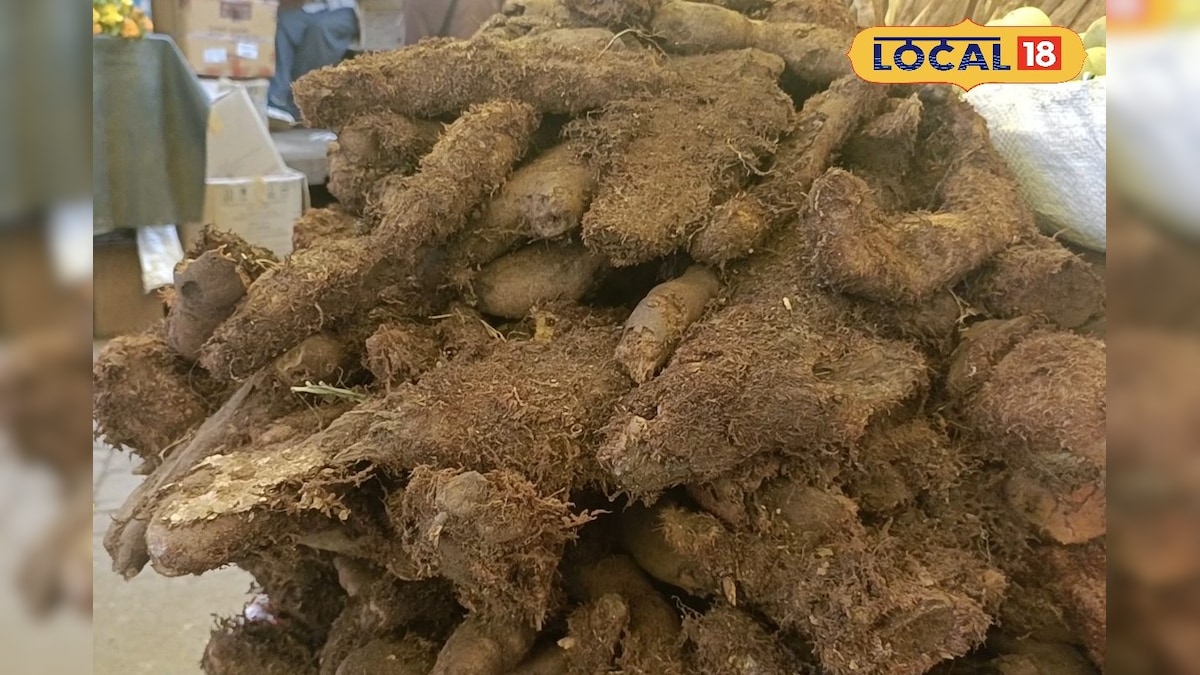 அதிகரிக்கும் முடவாட்டுக்கால் கிழங்கு பயன்பாடு... இயற்கைக்கு ஆபத்தாக அமைவதாக அலர்ட்... | நீலகிரி - News18 தமிழ்