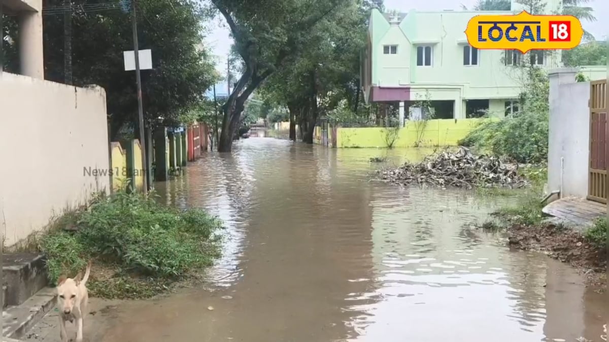 வடிகால் வசதி இல்லை!! குடியிருப்பு பகுதிகளில் தேங்கிய மழை நீர் - புலம்பும் தஞ்சை மக்கள்... | தஞ்சாவூர் - News18 தமிழ்