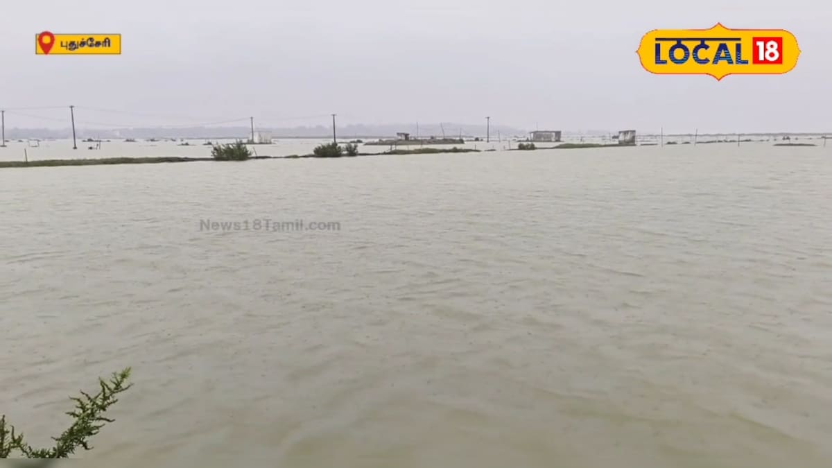 டிட்வா புயல்... மழைநீரில் மூழ்கிய 3500 ஏக்கர் உப்பளம்... வேதனையில் தொழிலாளர்கள் | புதுச்சேரி - News18 தமிழ்