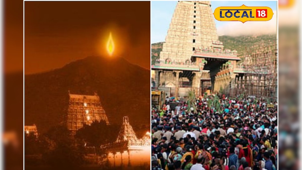 திருவண்ணாமலை தீபத் திருவிழா - பக்தர்களுக்கு QR கோடு வசதி அறிமுகம்!! ஏன் தெரியுமா..? | தமிழ்நாடு - News18 தமிழ்