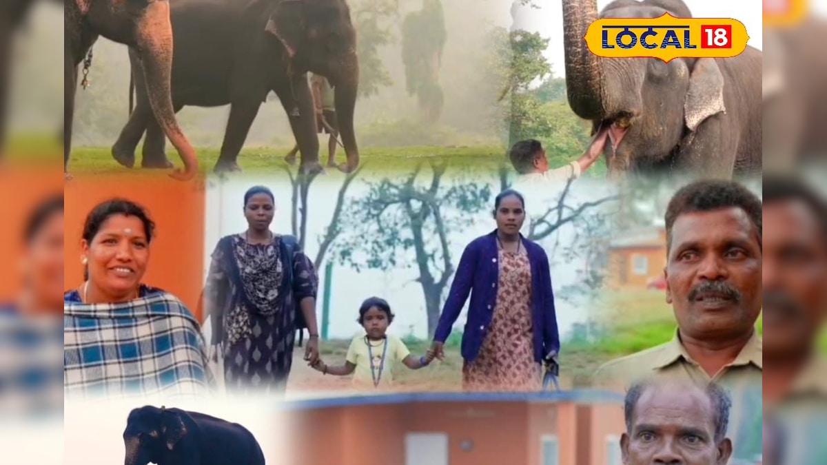 கிராமம் முழுதும் பாகன்கள் தான்... எப்படி இருக்கு இந்த பாகன் கிராமம்... | நீலகிரி - News18 தமிழ்