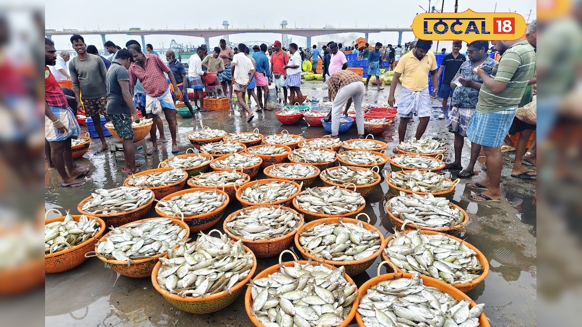 10 நாட்களுக்கு சேர்த்து ஒருநாளில் கிடைத்த மீன்.... இருந்தாலும் கவலையில் மீனவர்கள் | ராமநாதபுரம் - News18 தமிழ்