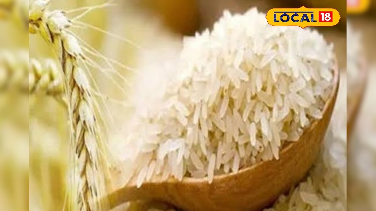 மல்லி போல மணக்கும் சோறு... GI குறியீடு பெற்ற தூயமல்லி அரிசியின் சிறப்பு தெரியுமா..? | உணவு - News18 தமிழ்