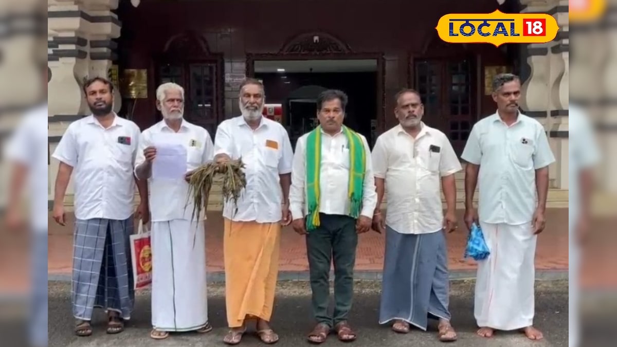 நாகையில் கனமழையால் சேதமான பயிர்கள்... மாவட்ட ஆட்சியரிடம் முறையிட்ட விவசாயிகள்... | நாகப்பட்டினம் - News18 தமிழ்