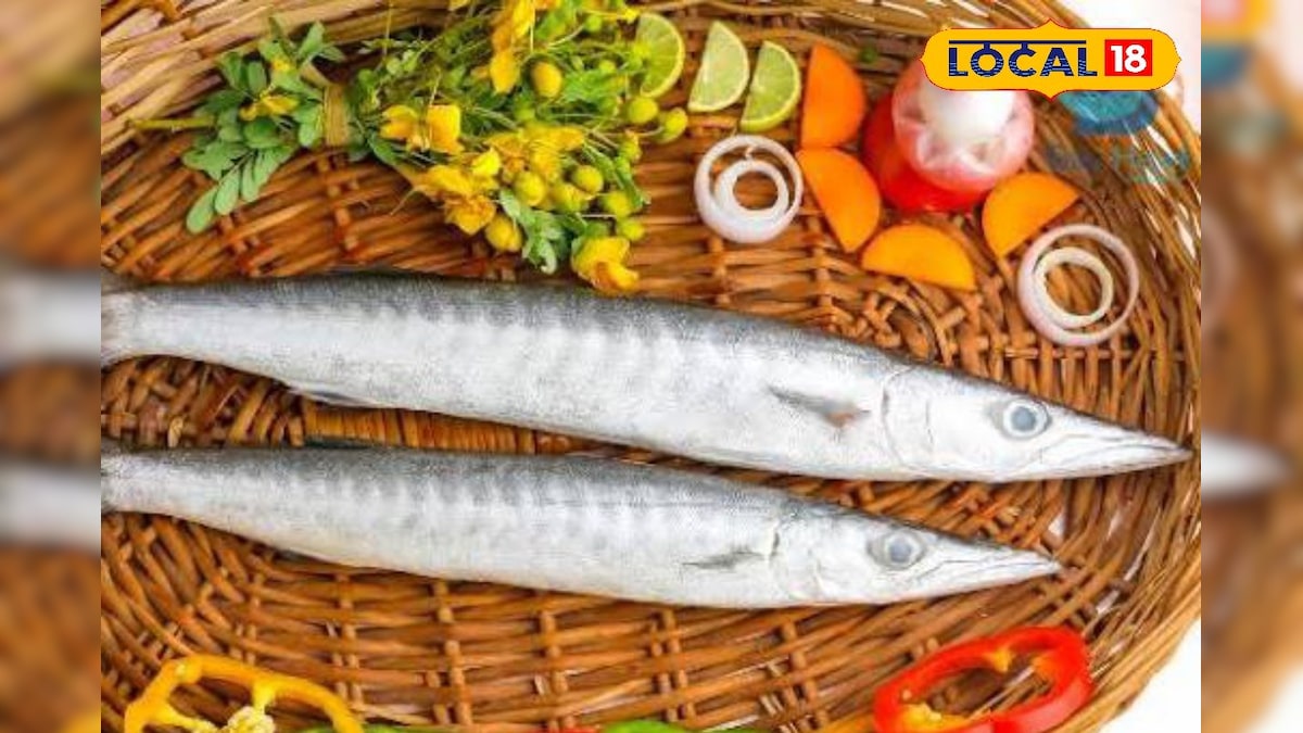 இரவில் மட்டுமே சிக்கும் மீன்... மீனவர்களின் Favorite fish-ம் இதுதான்... என்னென்ன நன்மைகள் இருக்கு தெரியுமா? | லைஃப்ஸ்டைல் - News18 தமிழ்