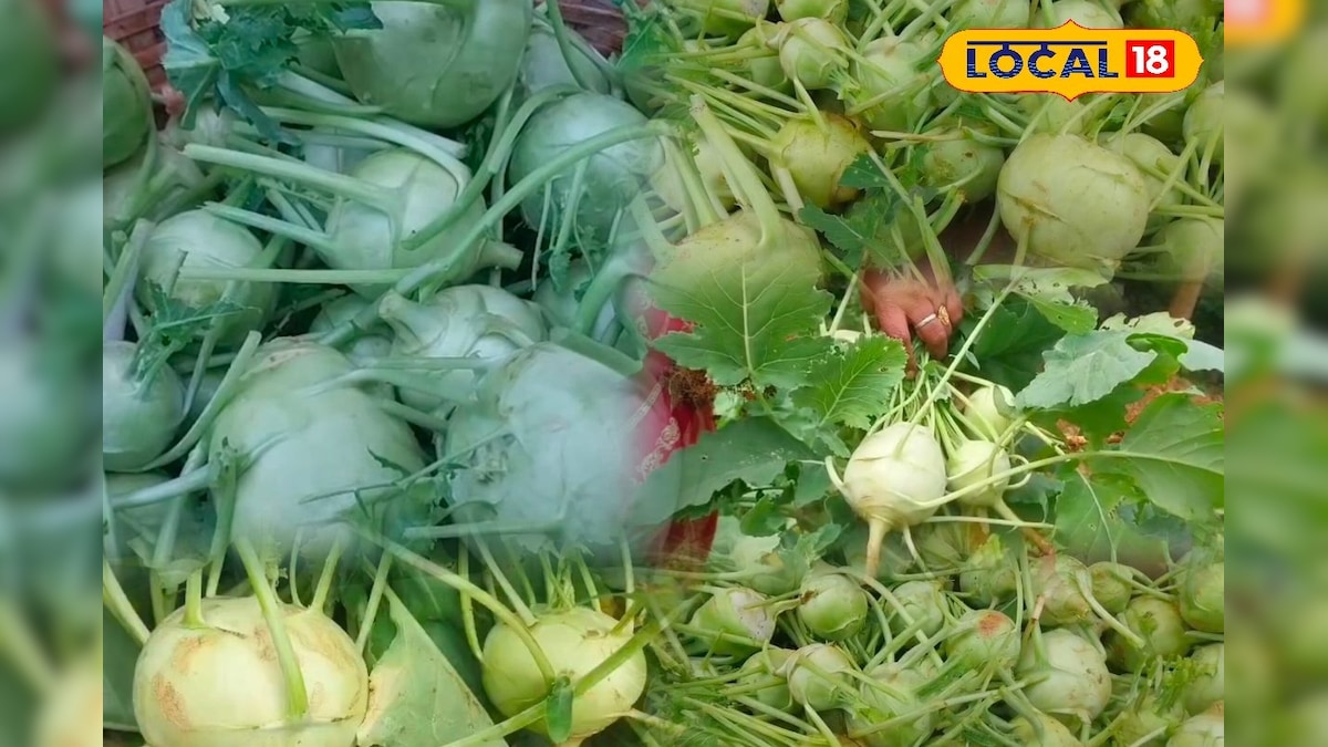 முதலீடு கம்மி லாபம் ஜாஸ்தி... ஊட்டி விவசாயிகளுக்கு உற்சாகம் கொடுக்கும் நூல்கோல் சாகுபடி... | விவசாயம் - News18 தமிழ்