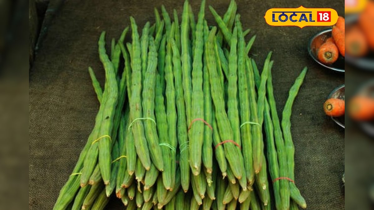 சிக்கன், மட்டன் விலையில்  முருங்கைக்காய்!! திடீர் உயர்வால் பொதுமக்கள் அதிர்ச்சி | வணிகம் - News18 தமிழ்