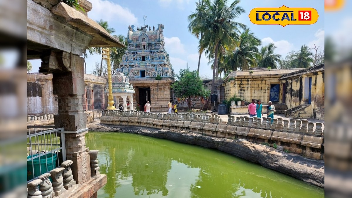 எத்தனை ஜோதிடம் பார்த்தாலும்  பயனில்லையா.? நாகநாதர் தரிசனத்தில் கைமேல் பலன் உண்டு... | ஆன்மிகம் - News18 தமிழ்