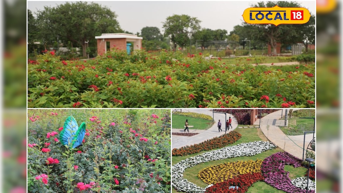 சங்க மரங்கள் முதல் VR அரங்கம் வரை – இன்று முதல் மக்கள் பயன்பாட்டுக்கு வந்த  கோவை செம்மொழிப் பூங்கா... | தமிழ்நாடு - News18 தமிழ்