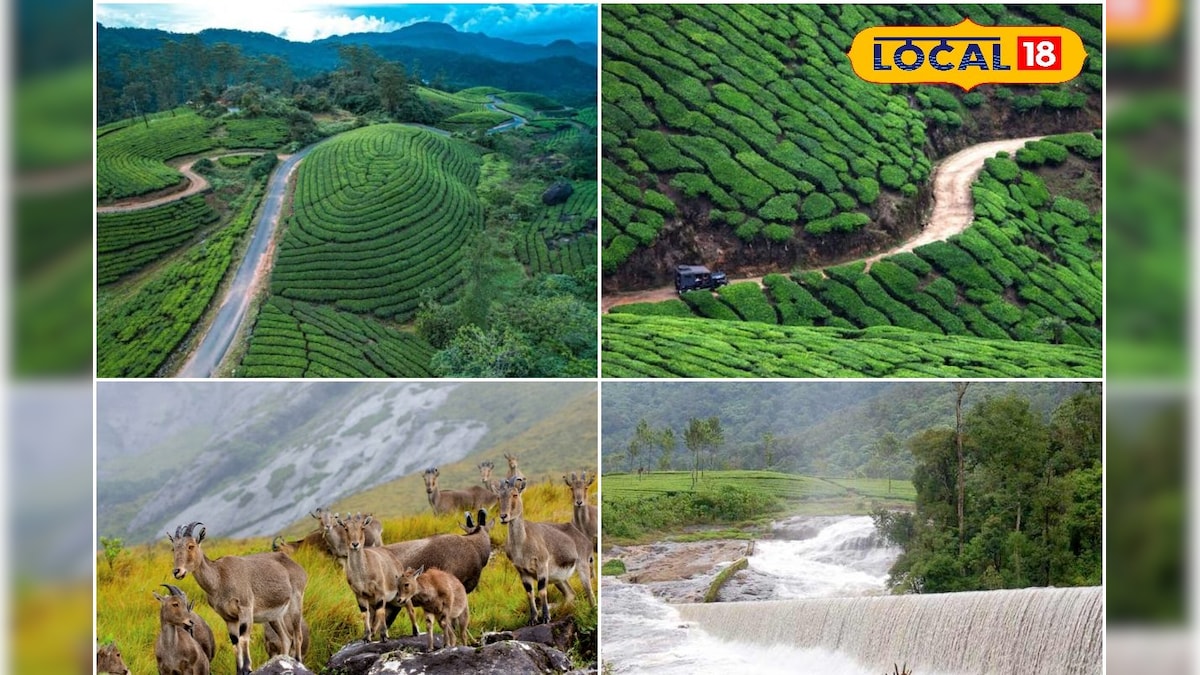 பனிமூட்டம் + தேயிலை தோட்டம்!! அரையாண்டு விடுமுறையில் கட்டாயம் விசிட் செய்ய வேண்டிய ஸ்பாட் லிஸ்ட்... | தமிழ்நாடு - News18 தமிழ்