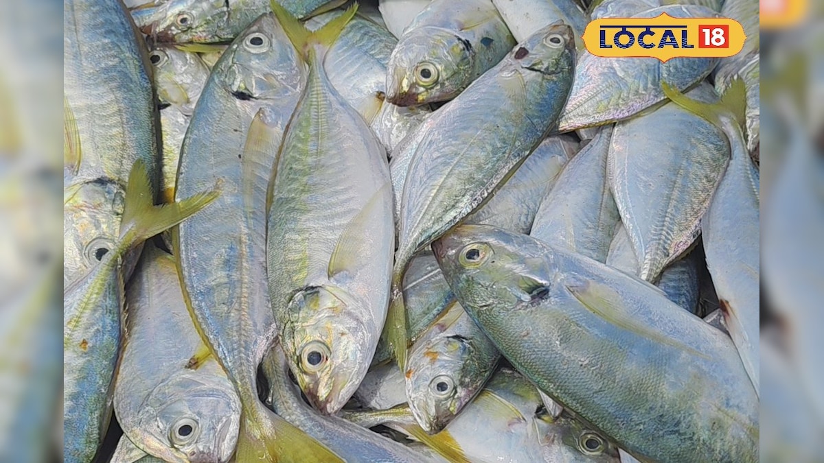 Diet plan : உடல் எடையை குறைக்க உதவும் சூவாபாறை... வாரம் ஒருமுறை  சாப்பிட்டு பாருங்க ! | லைஃப்ஸ்டைல் - News18 தமிழ்