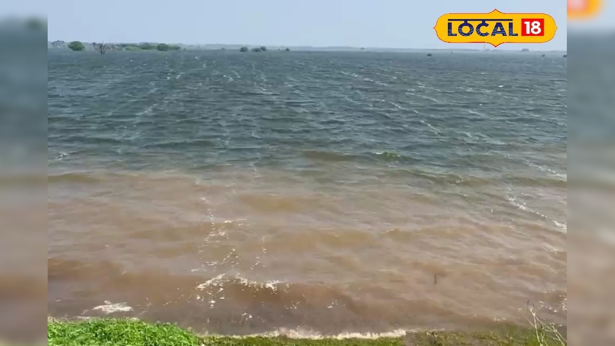 “கண்ணுக்கு எட்டிய தூரம் வரை நீர்” - கடலை மிஞ்சும் அழகில் மாரநாடு கண்மாய்... | தமிழ்நாடு - News18 தமிழ்