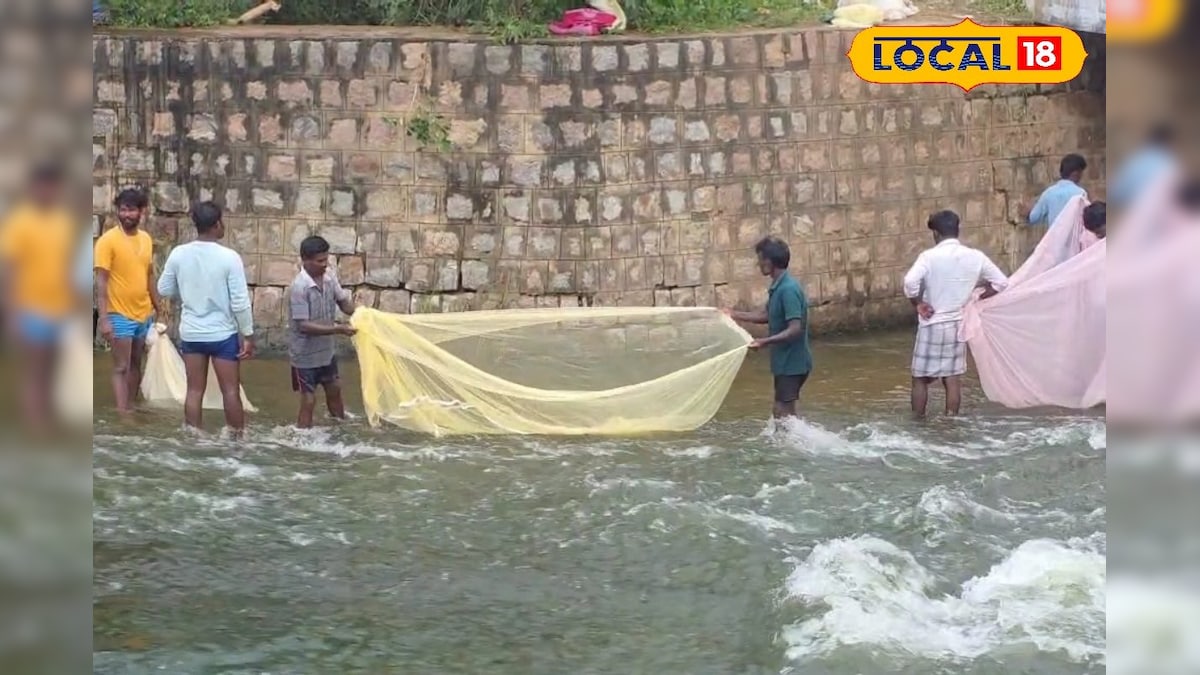 விரால் மீன் முதல் ஜிலேபி வரை!! வலைக்குள் தொக்க சிக்கிய மீன் குவியல்... | தமிழ்நாடு - News18 தமிழ்