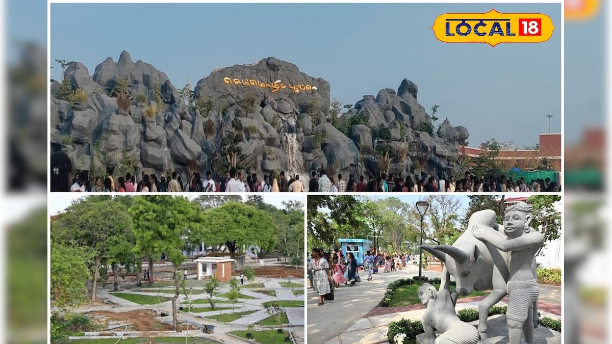 வீக் எண்ட் வைப்ஸ்!! ஒட்டுமொத்த கோவையும் இங்கதான் இருக்கு – நியூ ஸ்பாட்டை விசிட் அடிக்க திரண்ட மக்கள்... | தமிழ்நாடு - News18 தமிழ்