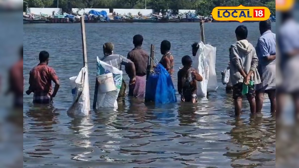 தொழிலுக்கு எமனான ஆன்லைன் வர்த்தகம்.. நரிக்குறவ மக்கள் எடுத்த அதிரடி முடிவு! | நாகப்பட்டினம் - News18 தமிழ்