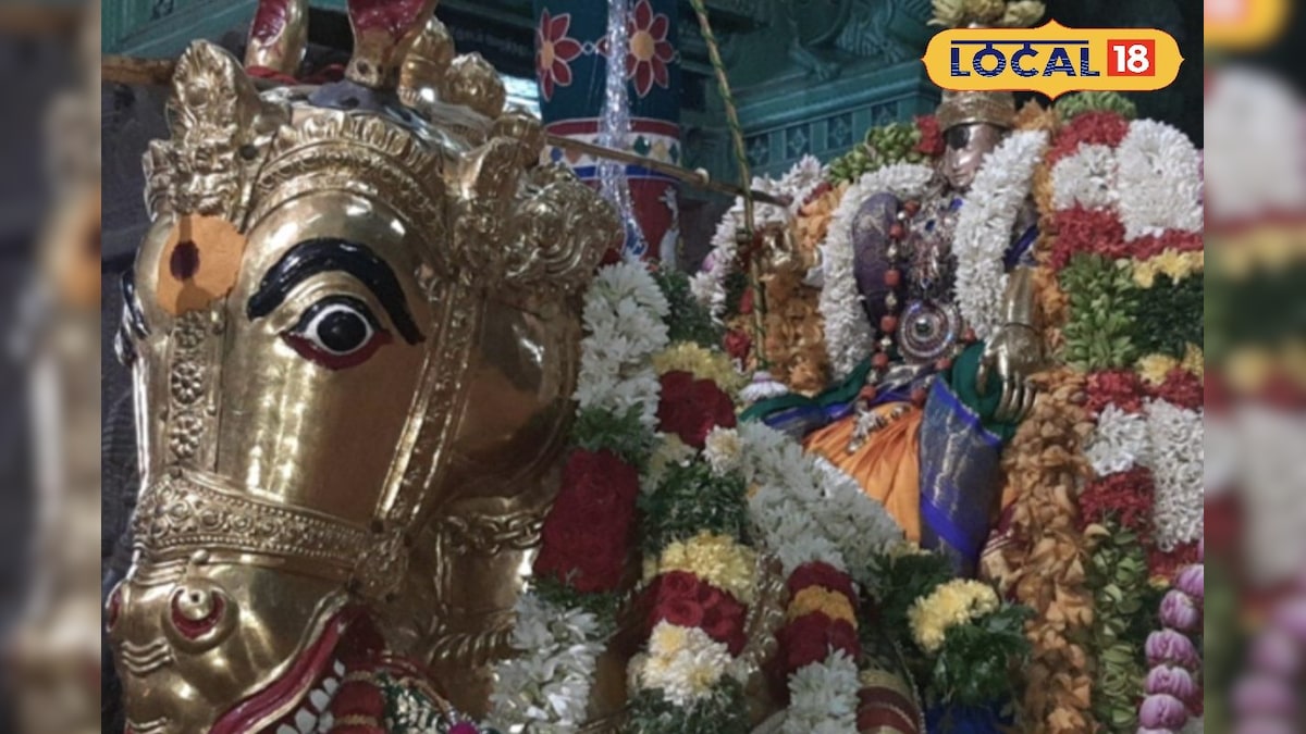 மார்கழி வந்தாலே மதுரை மீனாட்சி அம்மன் கோவில் களைகட்டும்!! எண்ணெய் தைலக்காப்பு உற்சவம் தொடக்கம் | ஆன்மிகம் - News18 தமிழ்