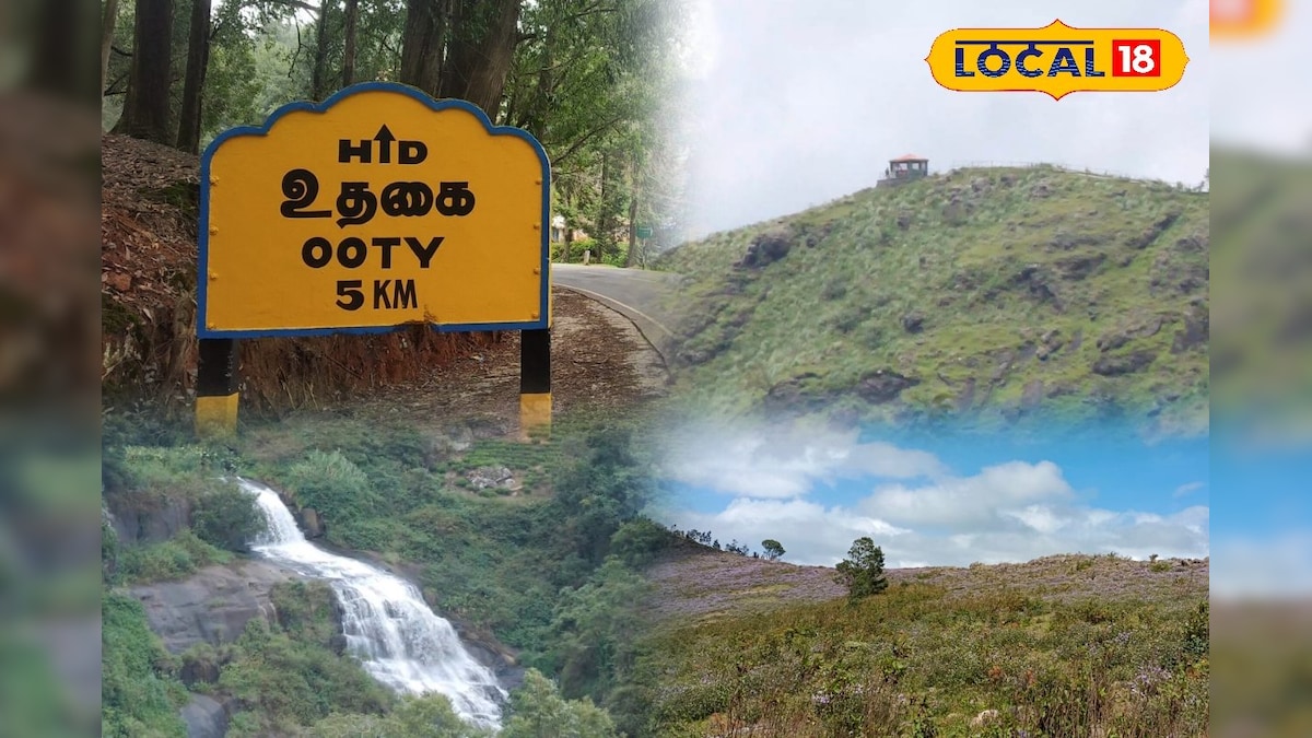 நீலகிரிக்கு படையெடுக்கும் டூரிஸ்ட்... வனத்துறை விடுத்த முக்கிய எச்சரிக்கை... | பயணம் - News18 தமிழ்