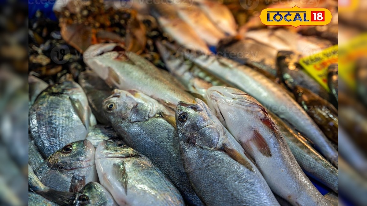 மீன் பிரியர்கள் உஷார்... இந்த விஷயங்களை தெரிஞ்சுக்காம சாப்பிட்டா ரொம்ப டேஞ்சர்.!! | லைஃப்ஸ்டைல் - News18 தமிழ்