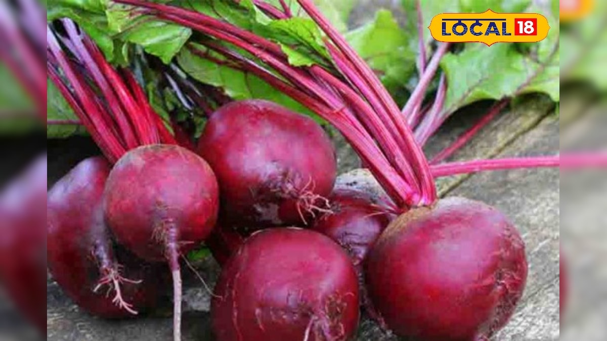 ஒரே காய்கறி… பல பயன்!! ரத்தத்தை சுத்தம் செய்து முகத்தை ஜொலிக்க வைக்கும் பீட்ரூட்... | உடல்நலம் - News18 தமிழ்
