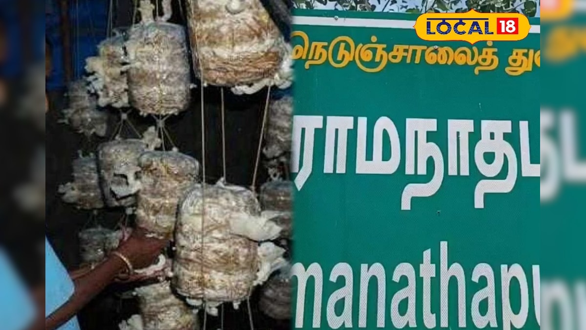 இலவச காளான் வளர்ப்பு பயிற்சி..... யாரெல்லாம் விண்ணப்பிக்கலாம்... முழு விவரம் இதோ ! | ராமநாதபுரம் - News18 தமிழ்