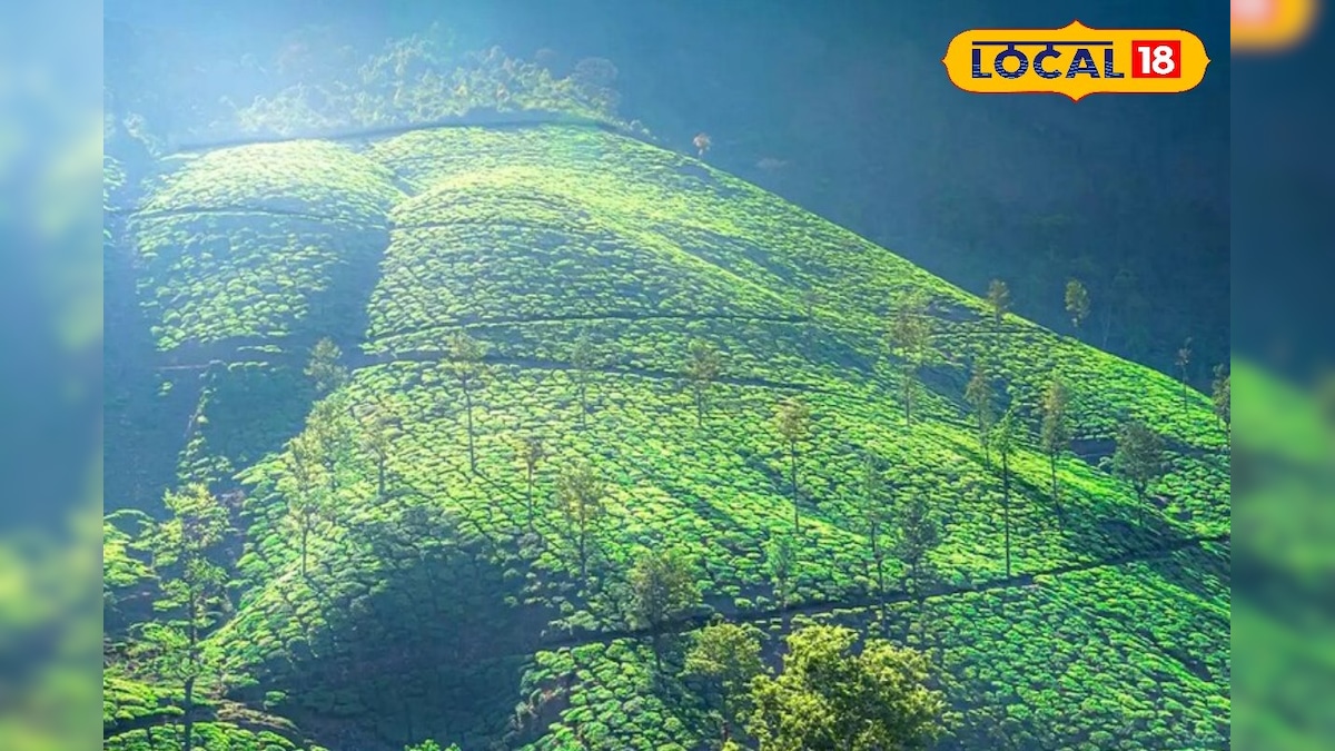 தென்னிந்தியாவின் சிரபுஞ்சி..தமிழகத்தில் ஈரப்பதமான இடம் எது தெரியுமா..! | லைஃப்ஸ்டைல் - News18 தமிழ்