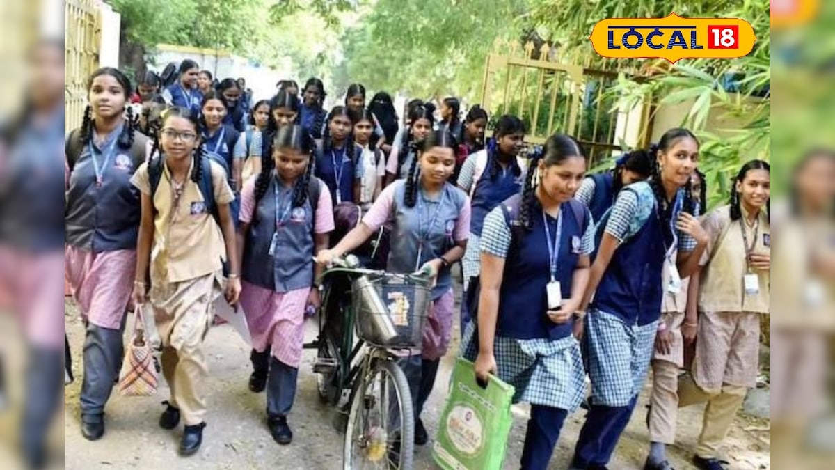 விடுமுறையில் மாணவர்களுக்கு வகுப்புகள் நடத்தலாமா.? - ஆசிரியர்களுக்கு வழிகாட்டுதலை வழங்கிய பள்ளிக் கல்வித்துறை... | கல்வி - News18 தமிழ்