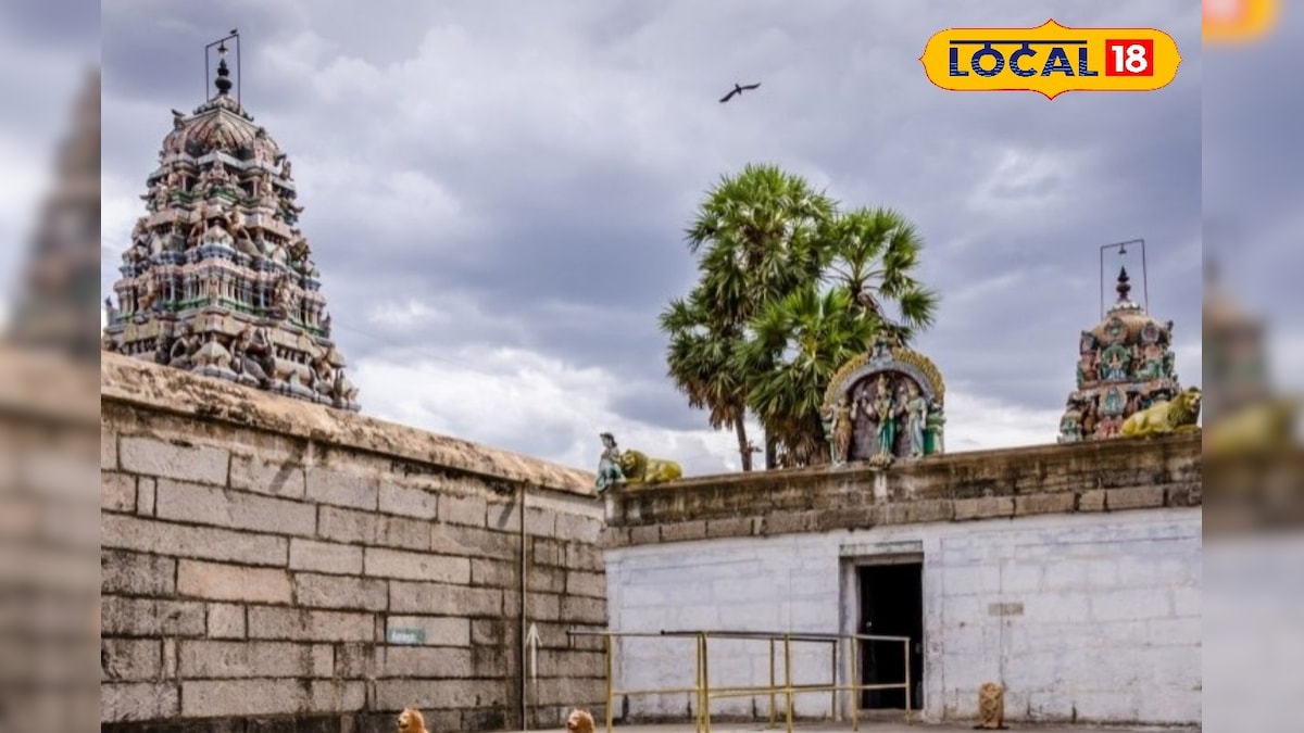 பனைமரக் காட்டில் தோன்றிய சிவன்… புறாக்கள் நிறைந்த அதிசய சிவாலயம்... | விழுப்புரம் - News18 தமிழ்