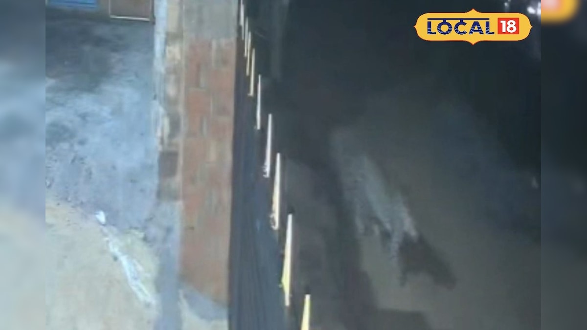 ஊருக்குள் உணவு தேடி வந்த சிறுத்தை... கூண்டு வைத்து பிடிக்க வனத்துறைக்கு மக்கள் கோரிக்கை... | நீலகிரி - News18 தமிழ்