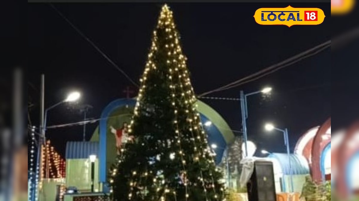 25 அடி உயரத்திற்கு பிரம்மாண்ட கிறிஸ்துமஸ் மரம்.... ஆர்வமுடன் ரசித்த மக்கள் !  | தென்காசி - News18 தமிழ்