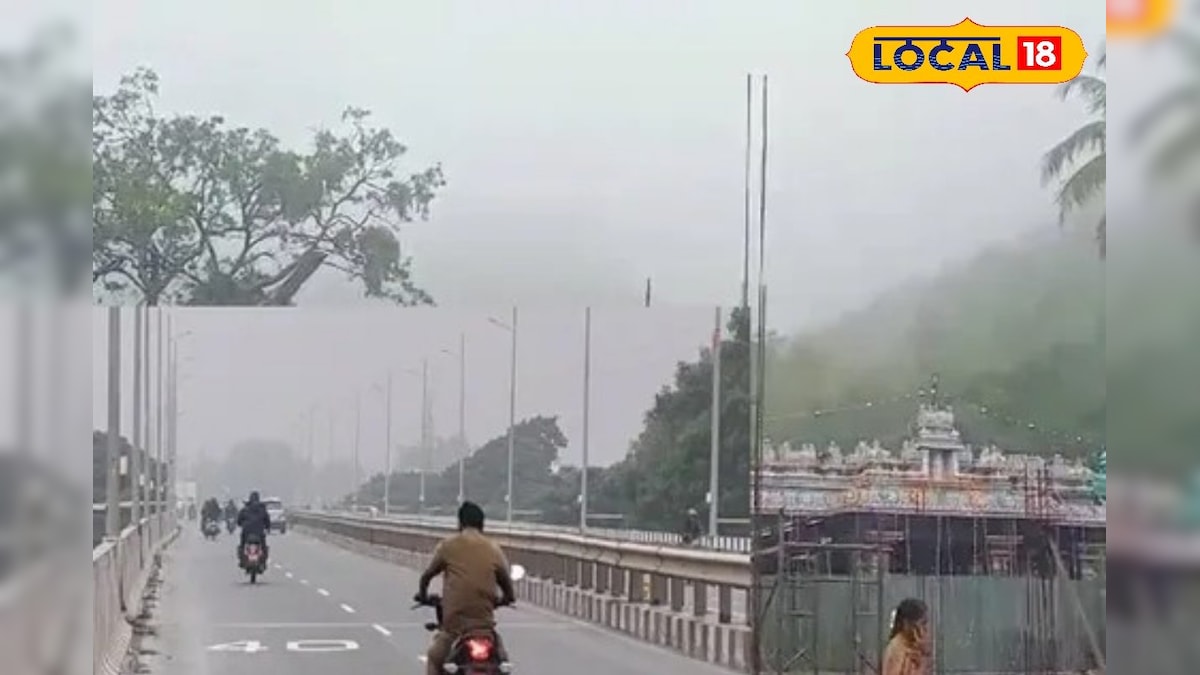 மலைப்பகுதிகளில் மழைக்கு சான்ஸ்!! கொங்கு மண்டல புத்தாண்டு வானிலை அப்டேட்... | தமிழ்நாடு - News18 தமிழ்