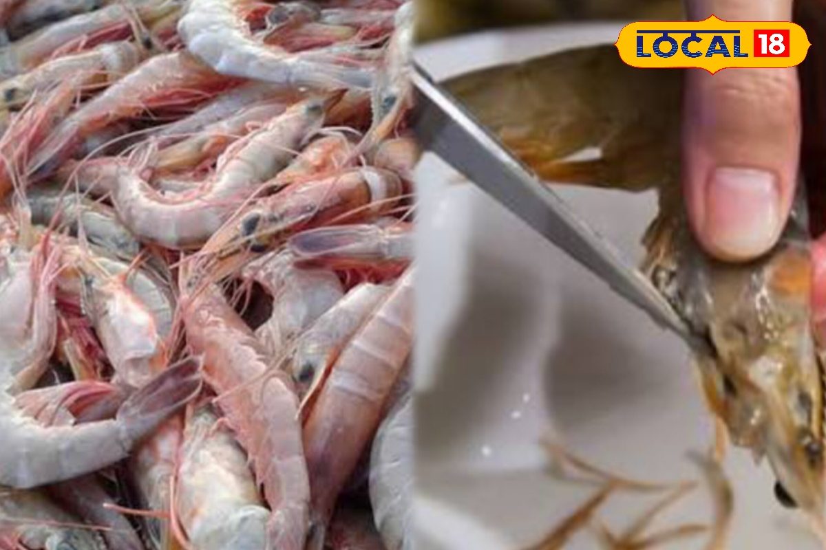 இறாலில் இருக்கும் கருப்பு நரம்பு.. அகற்றாமல் சாப்பிட்டால் என்ன ஆகும் தெரியுமா ?