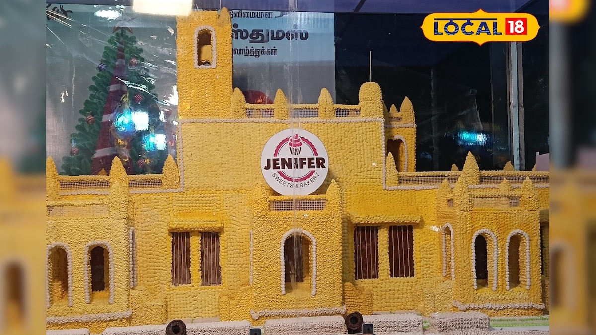 டேஸ்டியான டேனிஷ் கோட்டை... மக்களை ஈர்க்கும் பிரம்மாண்ட கேக்... | மயிலாடுதுறை - News18 தமிழ்